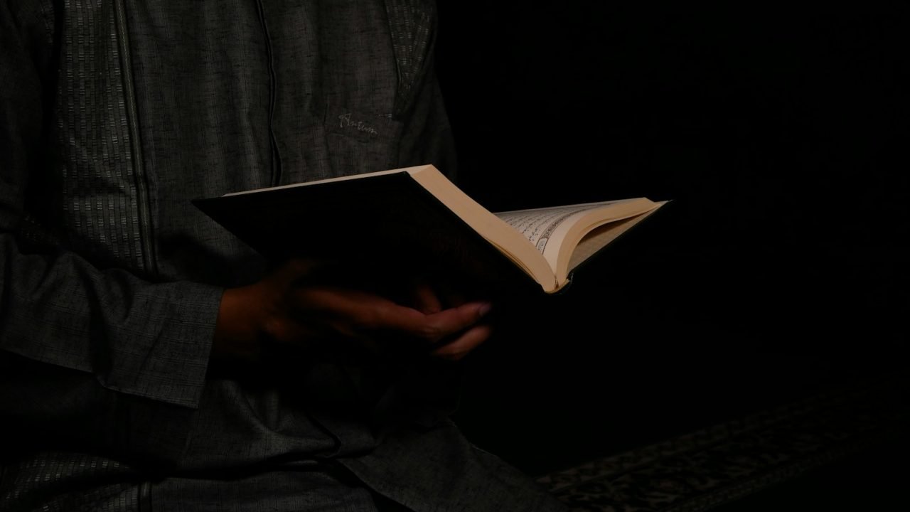 person holding opened book